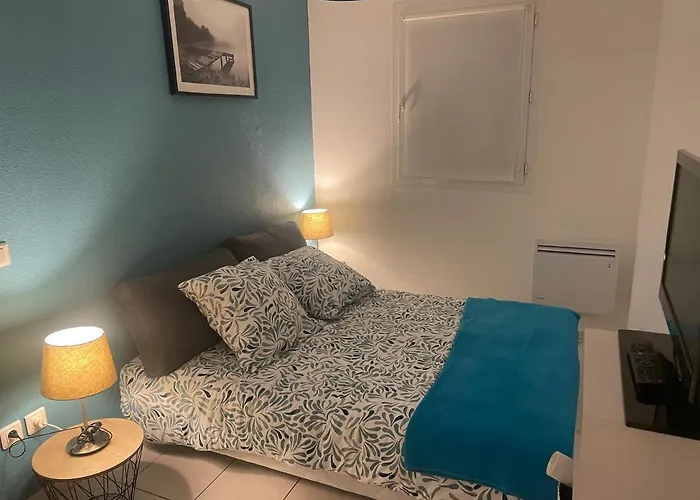 Charmant Appartement Cosy Sur Sete Proche De Toutes Commodites, Parking Prive